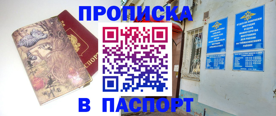 пропишу в квартире в Камне-на-Оби
